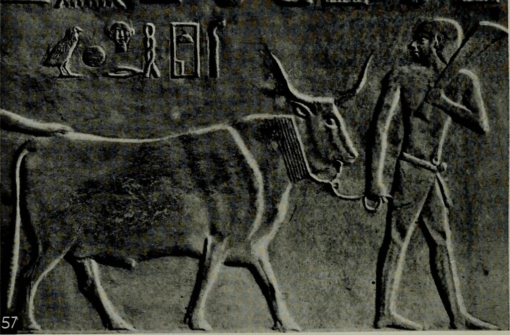 An illustration from The arts and crafts of ancient Egypt, 1909, leaf 101