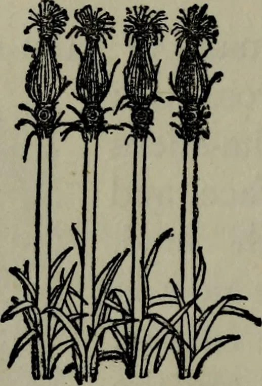 An illustration from The arts and crafts of ancient Egypt, 1909, leaf 131