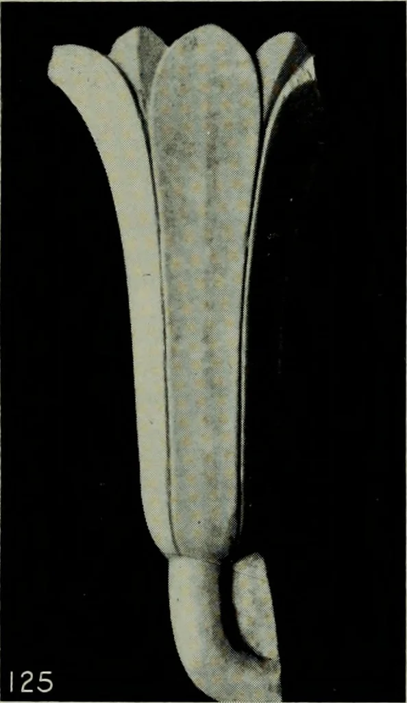An illustration from The arts and crafts of ancient Egypt, 1909, leaf 234