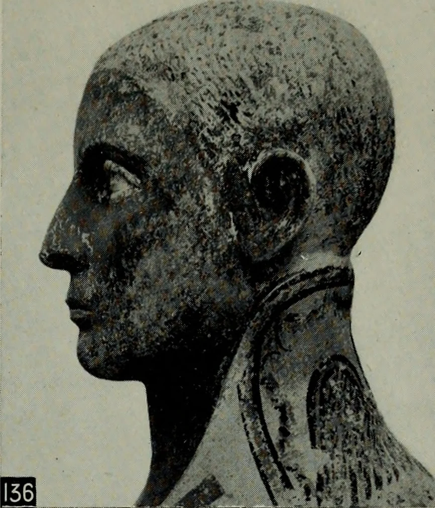 An illustration from The arts and crafts of ancient Egypt, 1909, leaf 250