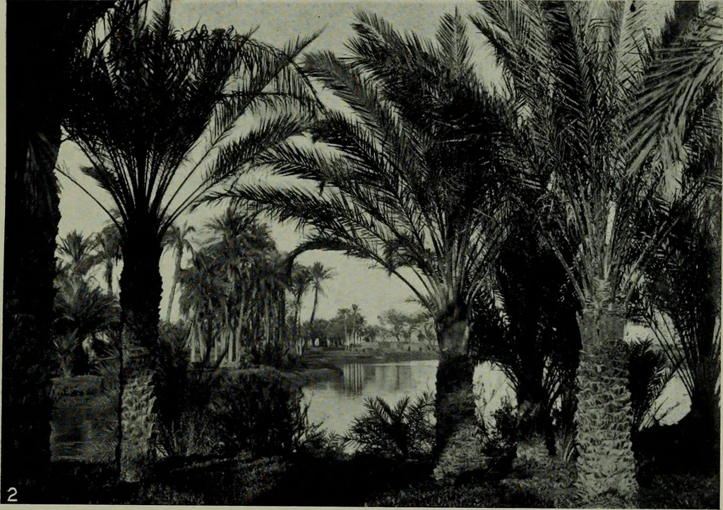 An illustration from The arts and crafts of ancient Egypt, 1909, leaf 26