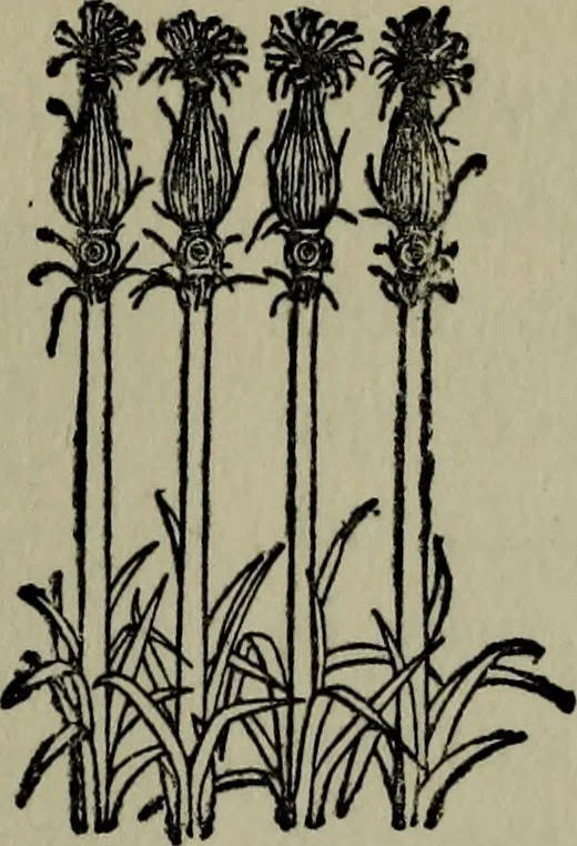 An illustration from The arts and crafts of ancient Egypt, 1910, leaf 129