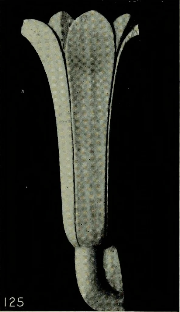 An illustration from The arts and crafts of ancient Egypt, 1910, leaf 232