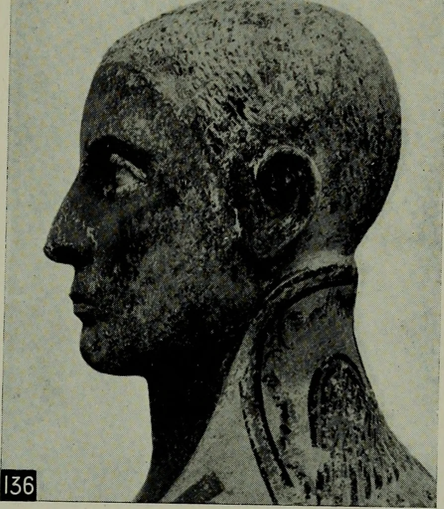 An illustration from The arts and crafts of ancient Egypt, 1910, leaf 246