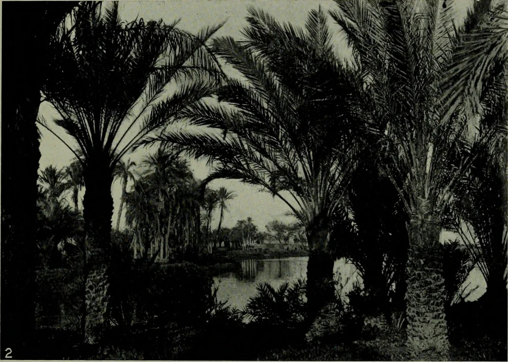 An illustration from The arts and crafts of ancient Egypt, 1910, leaf 28