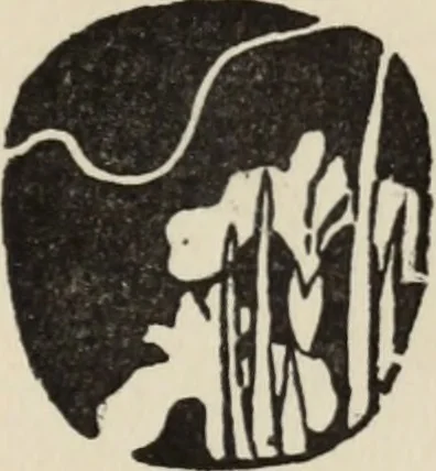 An illustration from The arts and crafts of older Spain, 1907, leaf 364