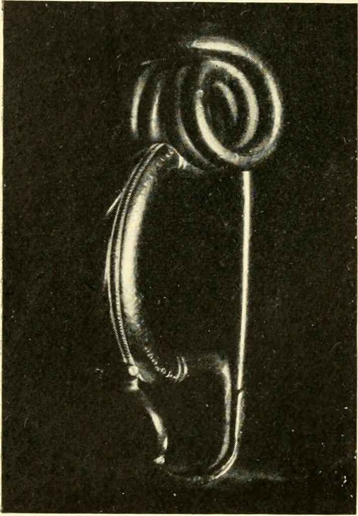 An illustration from The arts and crafts of our Teutonic forefathers, 1910, leaf 189