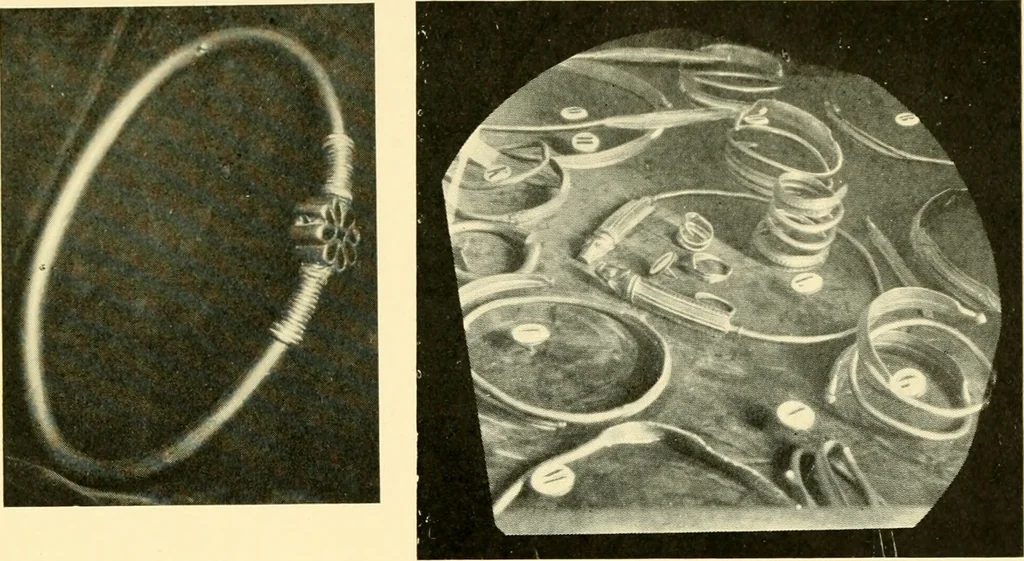 An illustration from The arts and crafts of our Teutonic forefathers, 1910, leaf 212