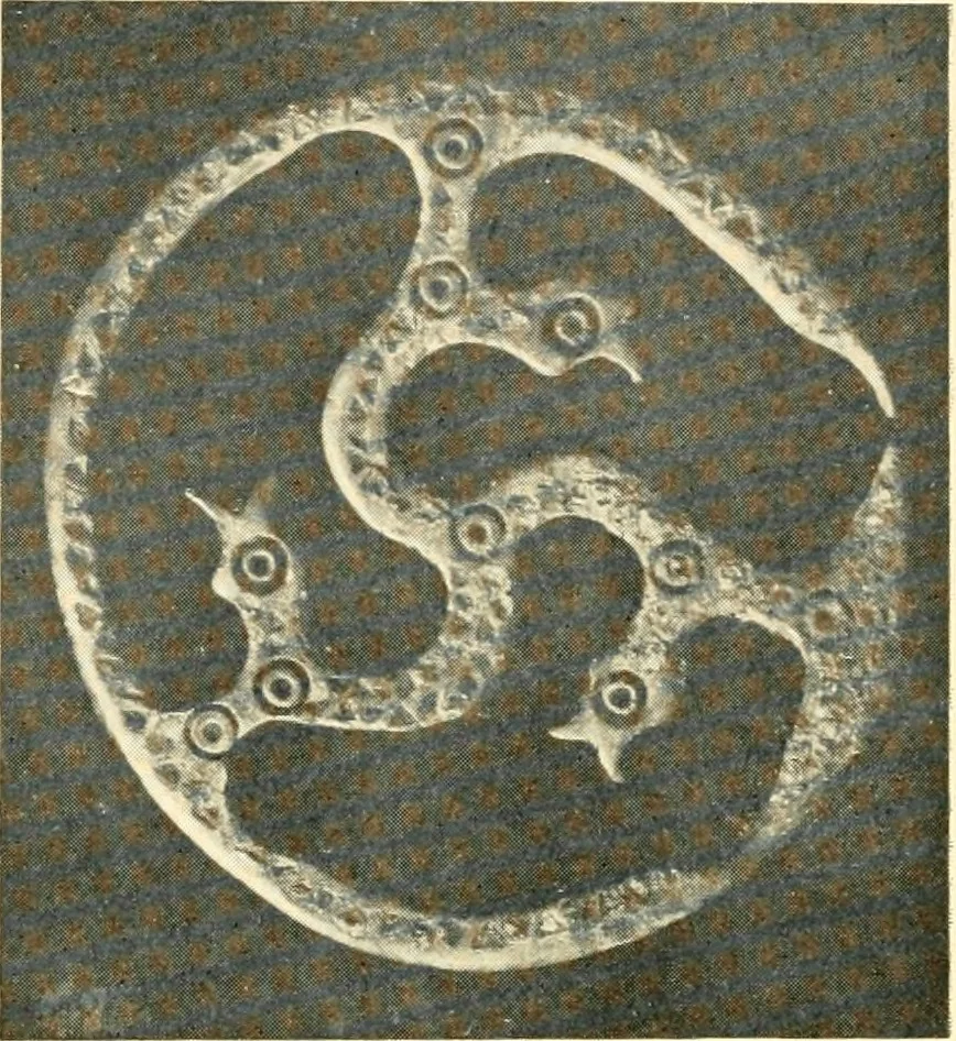 An illustration from The arts and crafts of our Teutonic forefathers, 1910, leaf 215