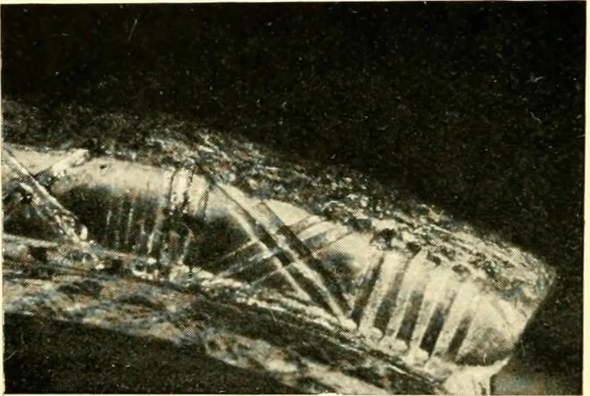 An illustration from The arts and crafts of our Teutonic forefathers, 1910, leaf 261