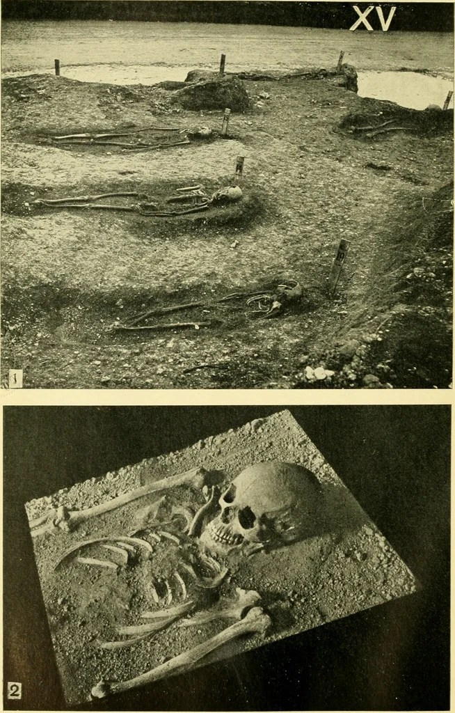 An illustration from The arts in early England, 1903, leaf 231