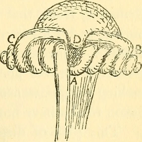 An illustration from The arts in early England, 1903, leaf 374