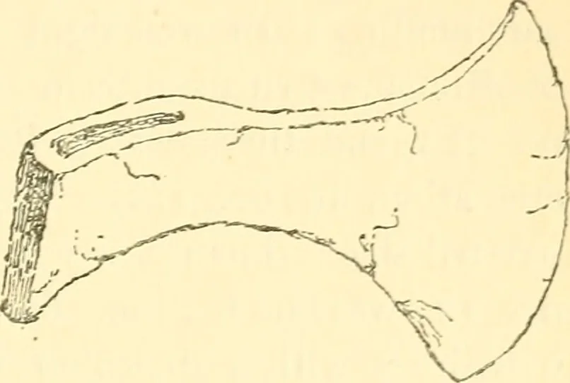 An illustration from The arts in early England, 1903, leaf 514