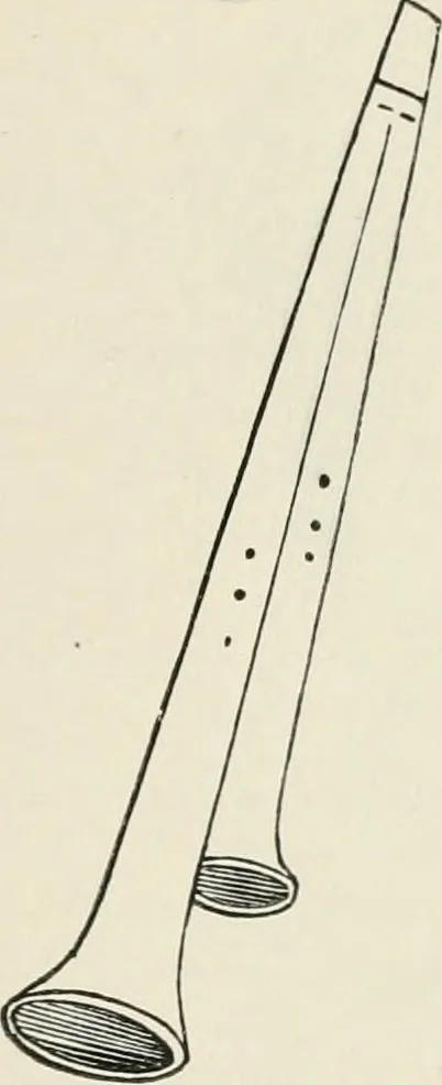 An illustration from The arts in the Middle Ages, and at the period of the Renaissance, 1875, leaf 246
