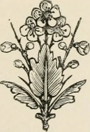 An illustration from The arts in the Middle Ages, and at the period of the Renaissance, 1875, leaf 26