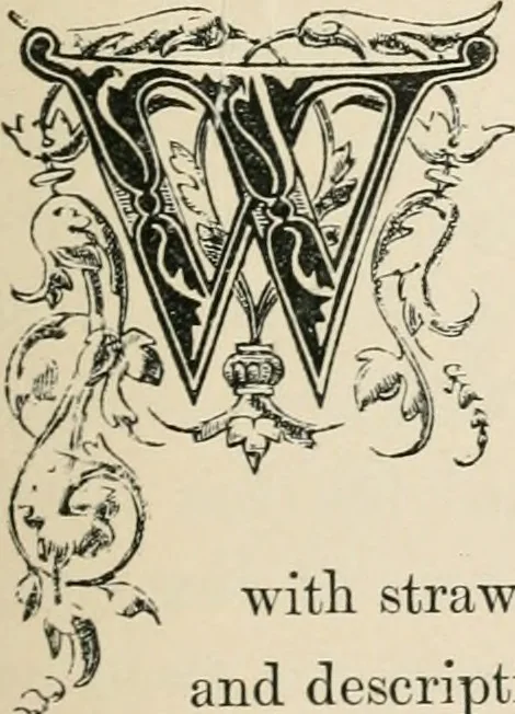 An illustration from The arts in the Middle Ages, and at the period of the Renaissance, 1875, leaf 28