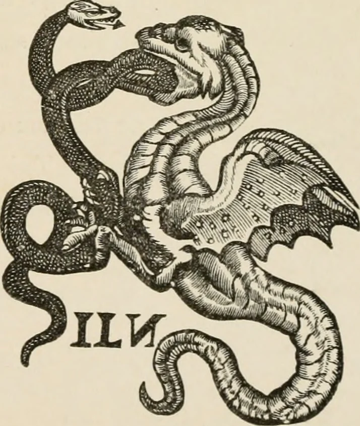 An illustration from The arts in the Middle Ages, and at the period of the Renaissance, 1875, leaf 586