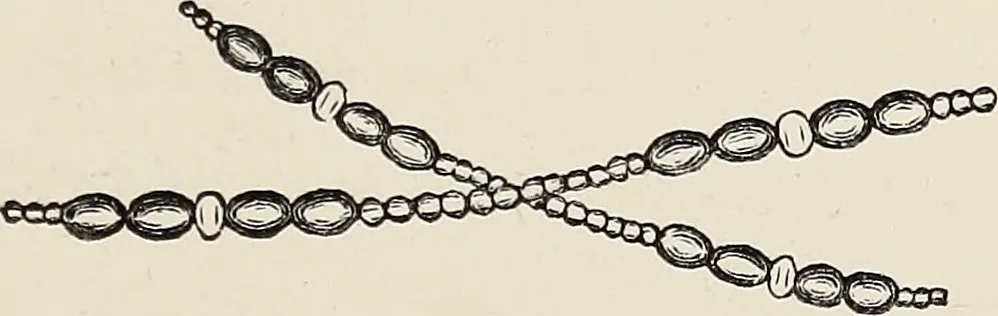 An illustration from Art-studies from nature, as applied to design : for the use of architects, designers, and manufacturers, 1872, leaf 116