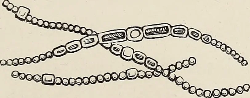 An illustration from Art-studies from nature, as applied to design : for the use of architects, designers, and manufacturers, 1872, leaf 116