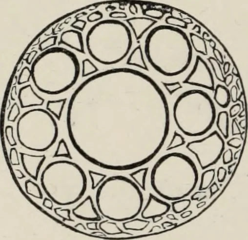 An illustration from Art-studies from nature, as applied to design : for the use of architects, designers, and manufacturers, 1872, leaf 117