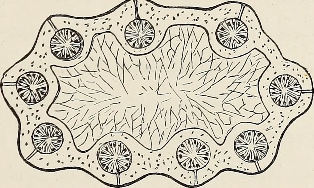 An illustration from Art-studies from nature, as applied to design : for the use of architects, designers, and manufacturers, 1872, leaf 118
