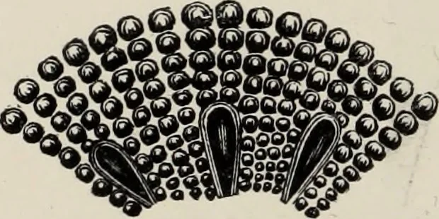 An illustration from Art-studies from nature, as applied to design : for the use of architects, designers, and manufacturers, 1872, leaf 143