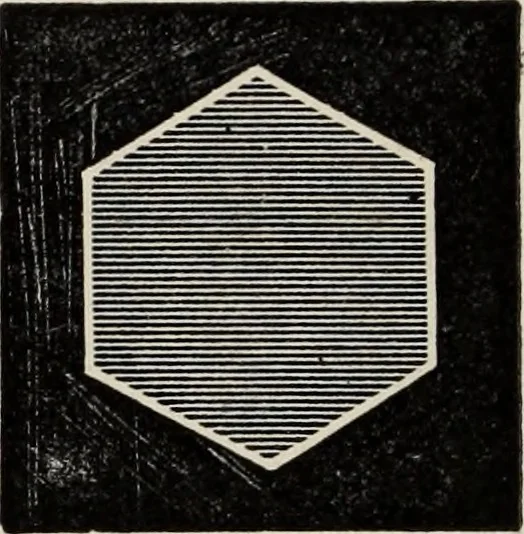 An illustration from Art-studies from nature, as applied to design : for the use of architects, designers, and manufacturers, 1872, leaf 151