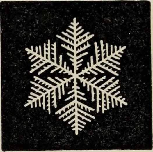 An illustration from Art-studies from nature, as applied to design : for the use of architects, designers, and manufacturers, 1872, leaf 151