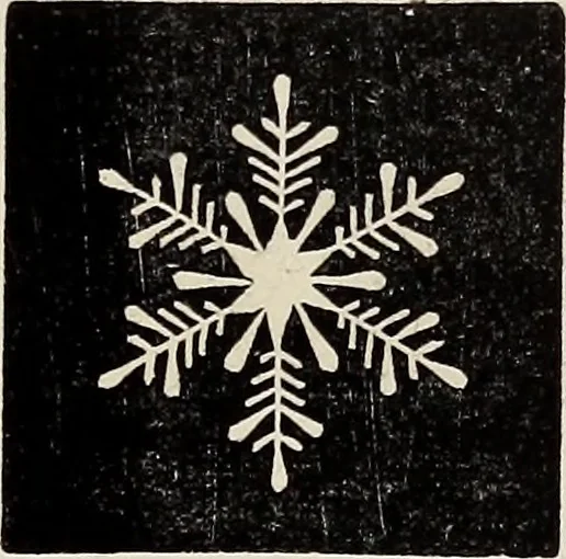 An illustration from Art-studies from nature, as applied to design : for the use of architects, designers, and manufacturers, 1872, leaf 152