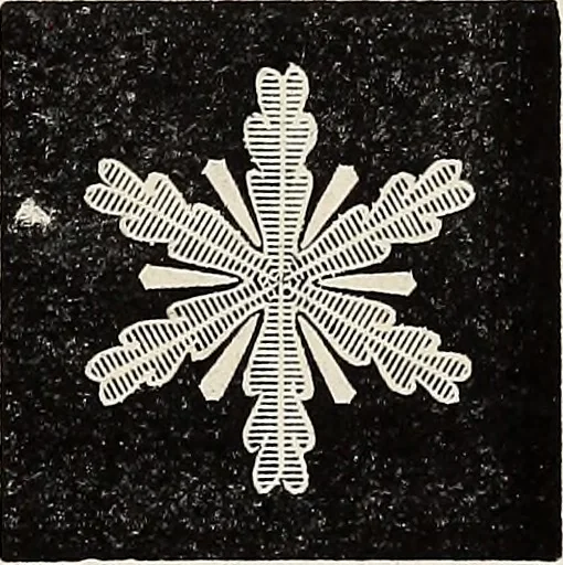 An illustration from Art-studies from nature, as applied to design : for the use of architects, designers, and manufacturers, 1872, leaf 152