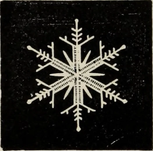 An illustration from Art-studies from nature, as applied to design : for the use of architects, designers, and manufacturers, 1872, leaf 153