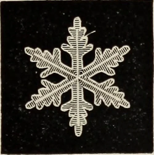 An illustration from Art-studies from nature, as applied to design : for the use of architects, designers, and manufacturers, 1872, leaf 154