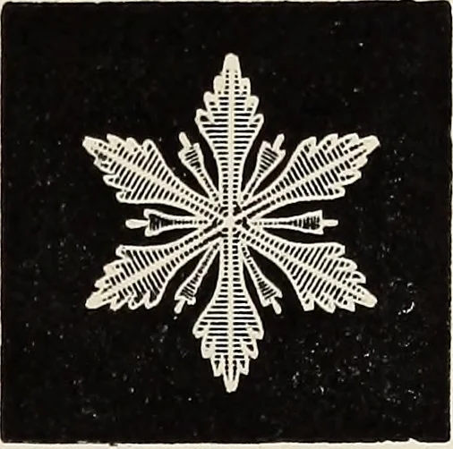 An illustration from Art-studies from nature, as applied to design : for the use of architects, designers, and manufacturers, 1872, leaf 154