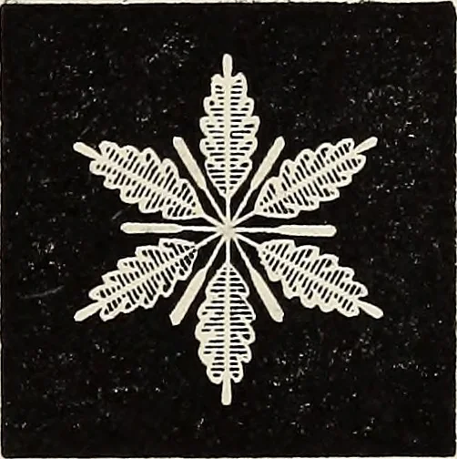 An illustration from Art-studies from nature, as applied to design : for the use of architects, designers, and manufacturers, 1872, leaf 154