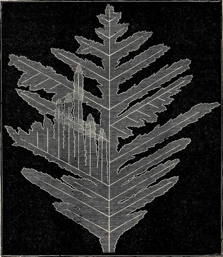 An illustration from Art-studies from nature, as applied to design : for the use of architects, designers, and manufacturers, 1872, leaf 155