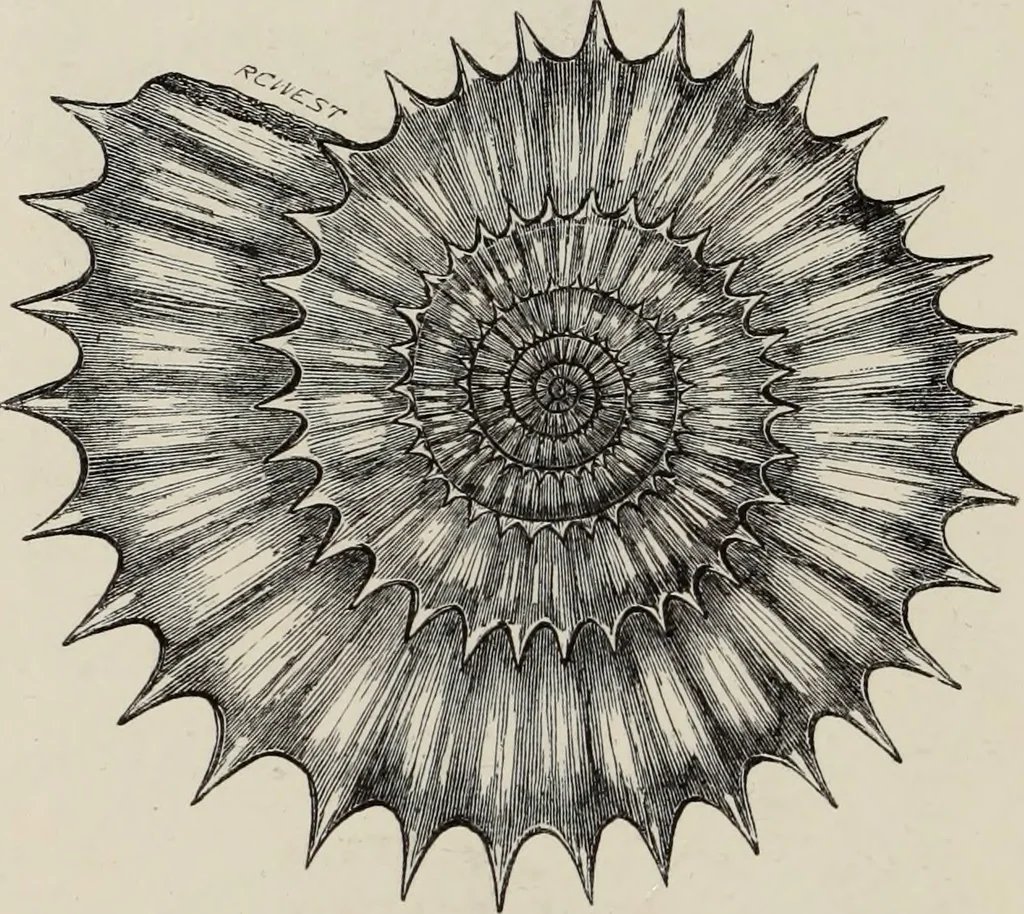An illustration from Art-studies from nature, as applied to design : for the use of architects, designers, and manufacturers, 1872, leaf 203