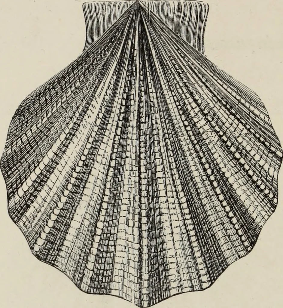 An illustration from Art-studies from nature, as applied to design : for the use of architects, designers, and manufacturers, 1872, leaf 207