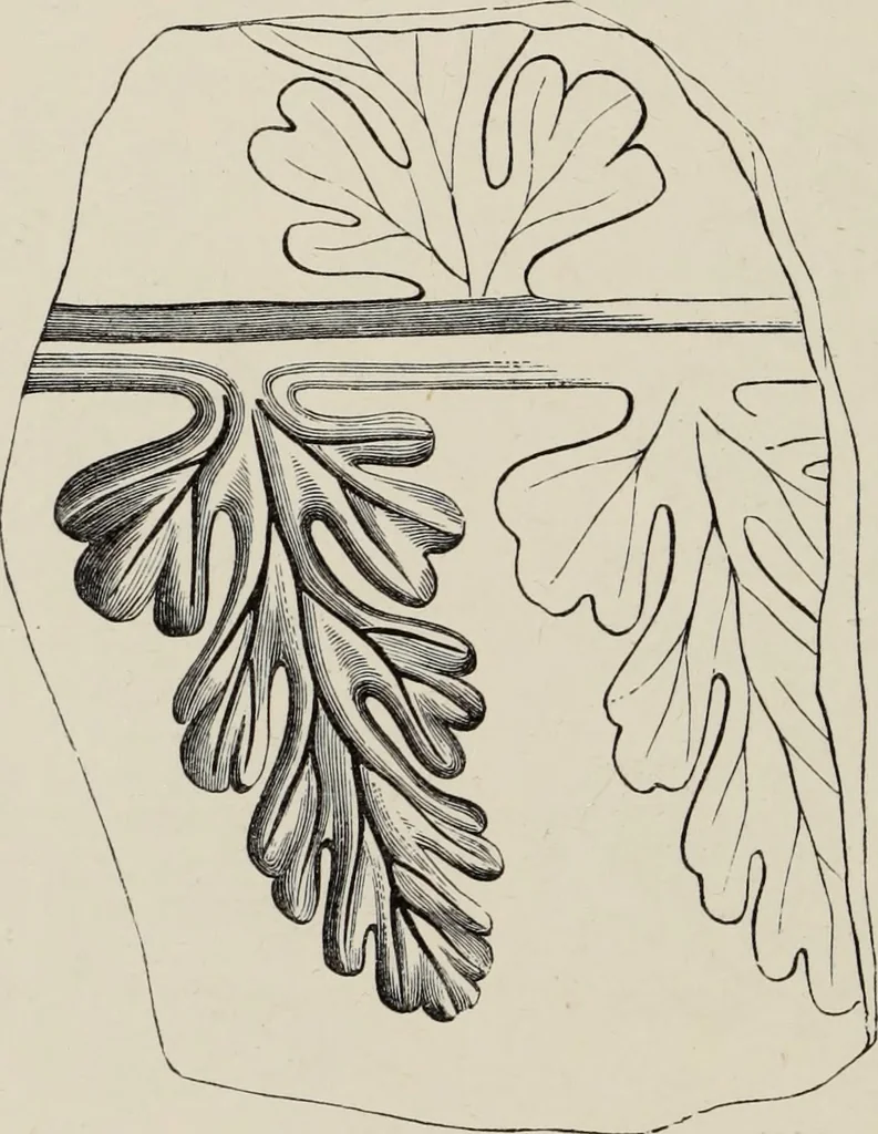 An illustration from Art-studies from nature, as applied to design : for the use of architects, designers, and manufacturers, 1872, leaf 215