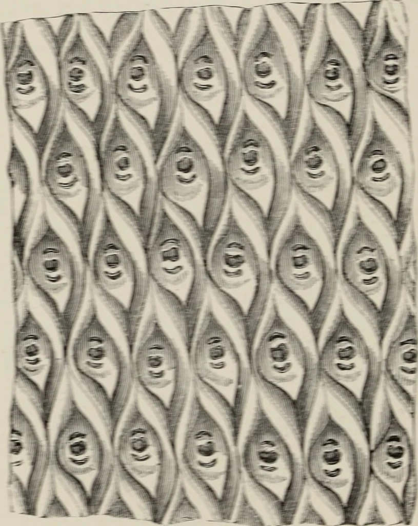 An illustration from Art-studies from nature, as applied to design : for the use of architects, designers, and manufacturers, 1872, leaf 219