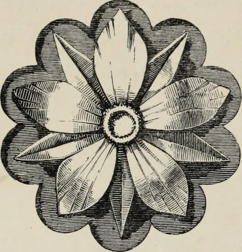 An illustration from Art-studies from nature, as applied to design : for the use of architects, designers, and manufacturers, 1872, leaf 31