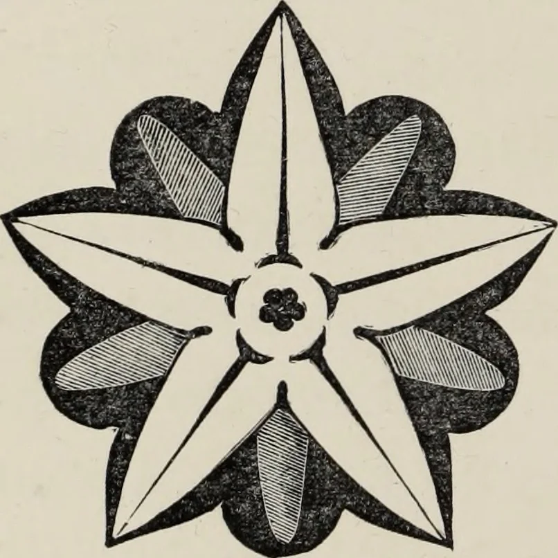 An illustration from Art-studies from nature, as applied to design : for the use of architects, designers, and manufacturers, 1872, leaf 35