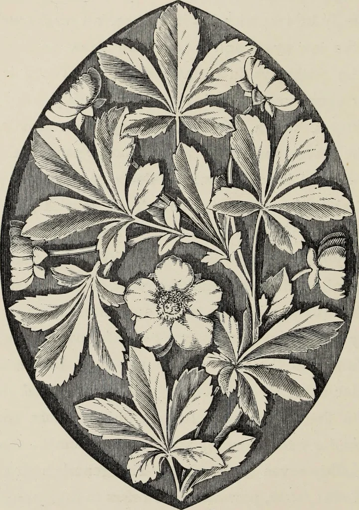 An illustration from Art-studies from nature, as applied to design : for the use of architects, designers, and manufacturers, 1872, leaf 43
