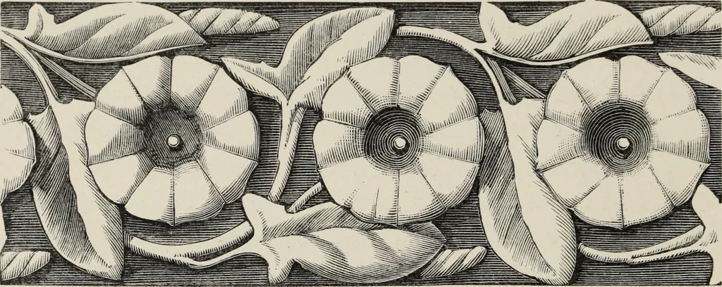 An illustration from Art-studies from nature, as applied to design : for the use of architects, designers, and manufacturers, 1872, leaf 49