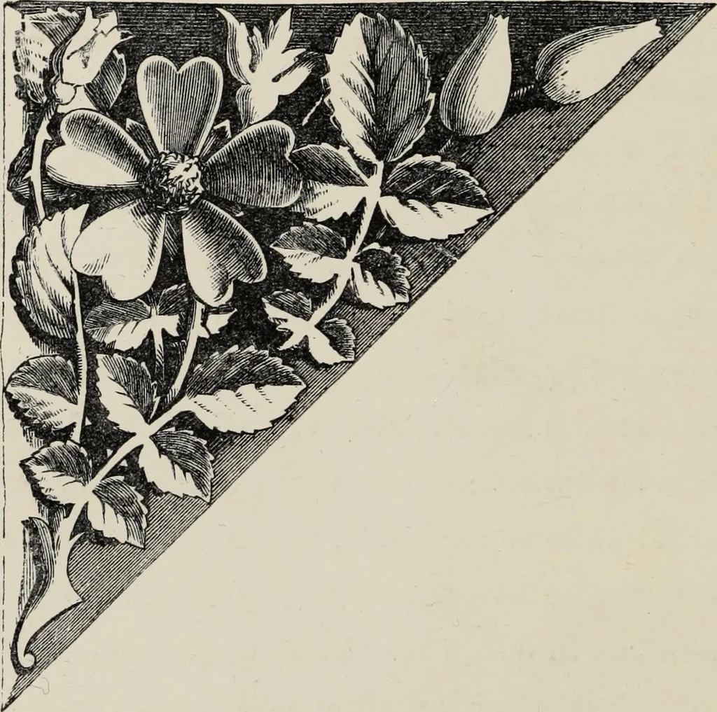 An illustration from Art-studies from nature, as applied to design : for the use of architects, designers, and manufacturers, 1872, leaf 55
