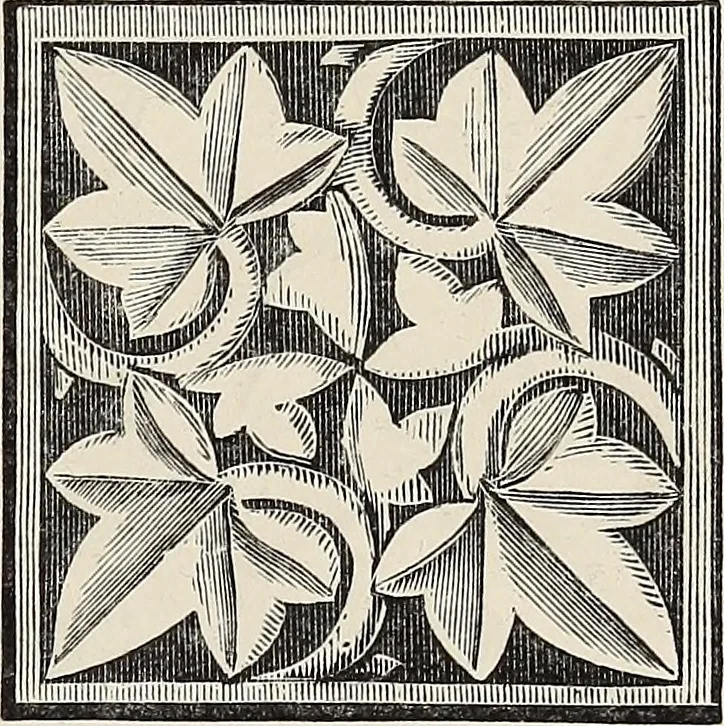 An illustration from Art-studies from nature, as applied to design : for the use of architects, designers, and manufacturers, 1872, leaf 78
