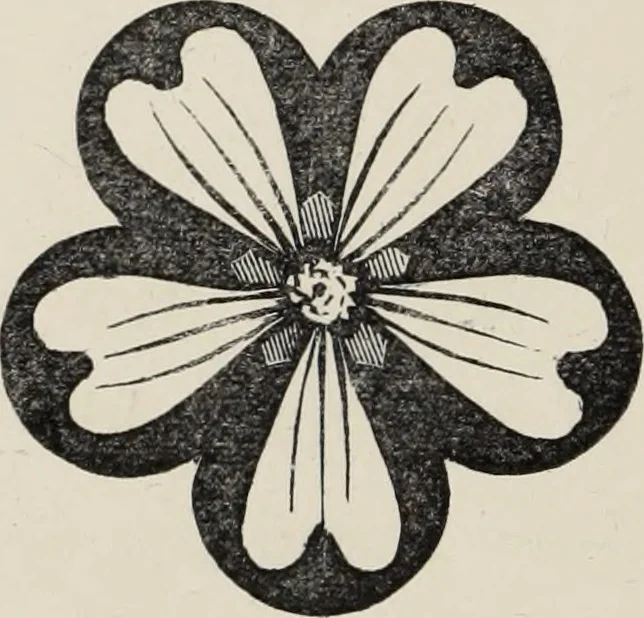 An illustration from Art-studies from nature, as applied to design : for the use of architects, designers, and manufacturers, 1872, leaf 83