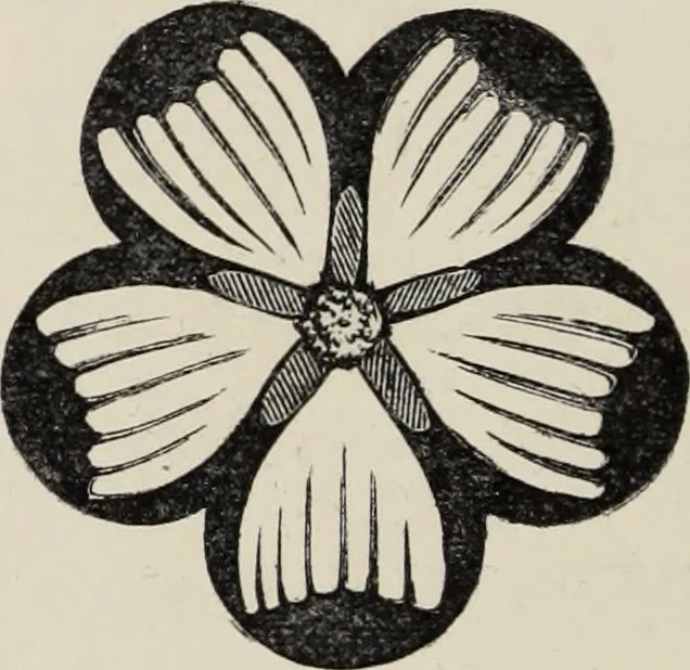 An illustration from Art-studies from nature, as applied to design : for the use of architects, designers, and manufacturers, 1872, leaf 83