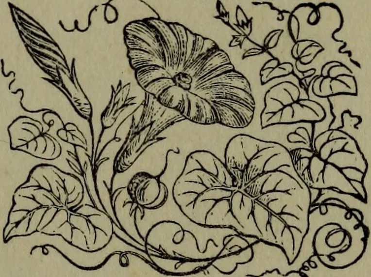 An illustration from Art thoughts : the experiences and observations of an American amateur in Europe, 1869, leaf 12