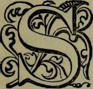 An illustration from Art thoughts : the experiences and observations of an American amateur in Europe, 1869, leaf 14