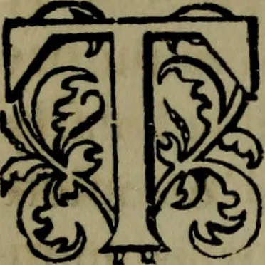 An illustration from Art thoughts : the experiences and observations of an American amateur in Europe, 1869, leaf 149